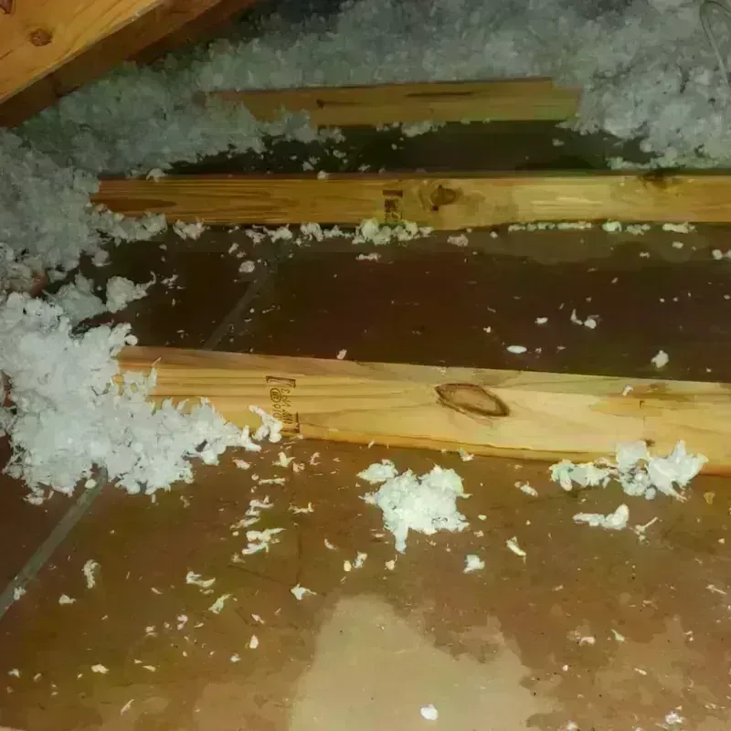 Attic Water Damage in Galena, IL